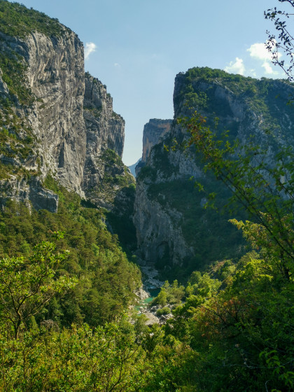 Le départ du sentier et de notre première découverte aromathérapie !